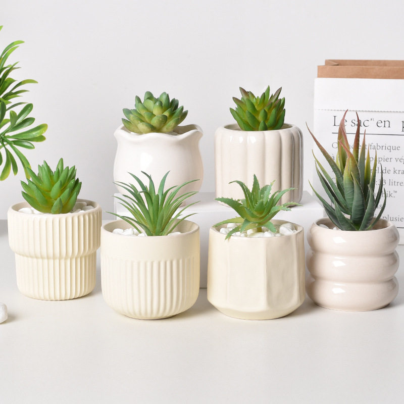 Echeveria Succulent - Plantador suculento de cerâmica com rega