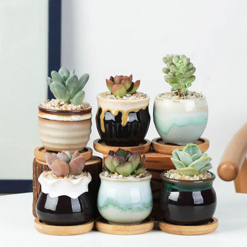 Conjunto de vaso de cerâmica 6 - Echeveria Succulent avaliação e preço