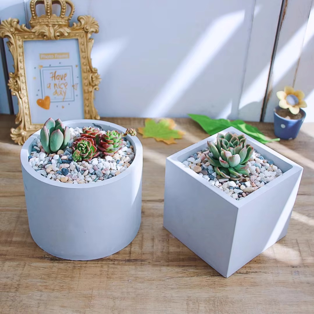 Molde de Silicone Redondo Gran - Echeveria Succulent avaliação e preço
