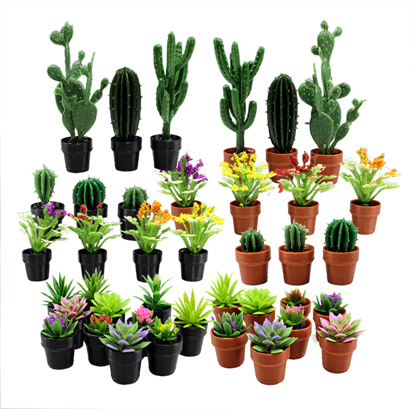 8 Peças de Plantas em Vasos de - Echeveria Succulent avaliação e preço